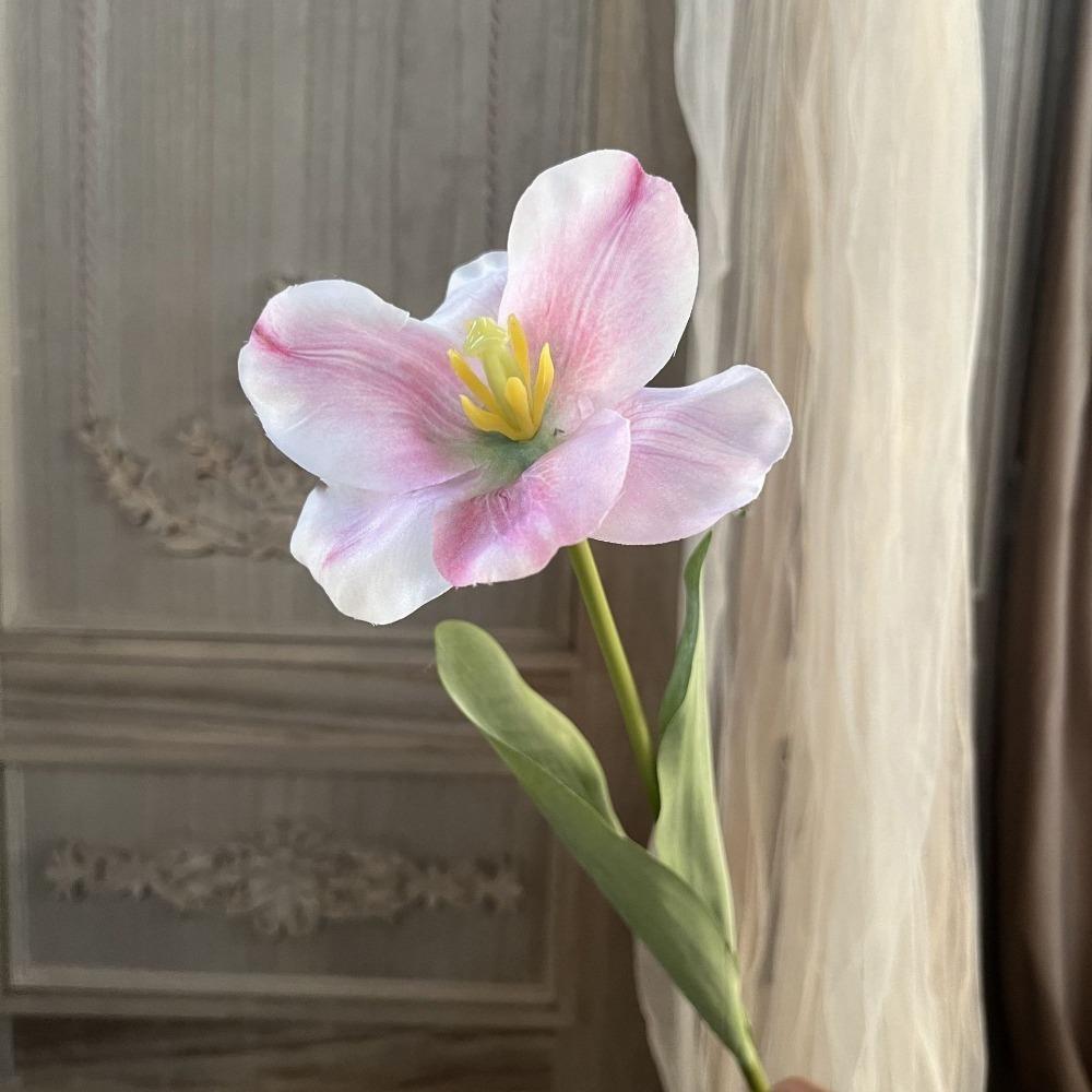 Симуляция Симуляция Большие Цветы Тюльпан Тюльпаны Ветки Новый Икебана Свадьба 4
Симуляция Симуляция Большие Цветы Тюльпан Тюльпаны Ветки Новый Икебана Свадьба 4