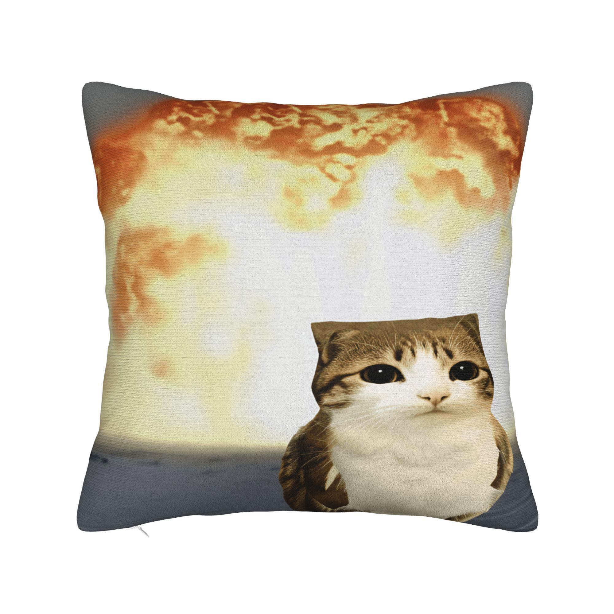 Pet Cat Funny memes Pillow Cover Print Cushion Cover Vintage Pillow Case For Living Room Sofa 12x12Inch
Pet Cat Funny memes Pillow Cover Print Cushion Cover Vintage Pillow Case For Living Room Sofa 12x12Inch