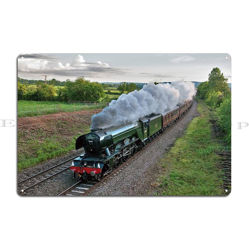 Flying Scotsman Metal Plaque Classic Vintage Iron Vintage Cinema Tin Sign Poster 20x30cm
Flying Scotsman Metal Plaque Classic Vintage Iron Vintage Cinema Tin Sign Poster 20x30cm