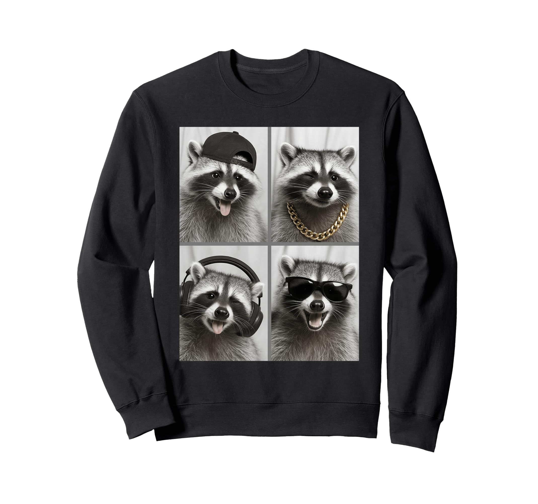 Raccoon headphones, sunglasses, and sweatshirt
Raccoon headphones, sunglasses, and sweatshirt