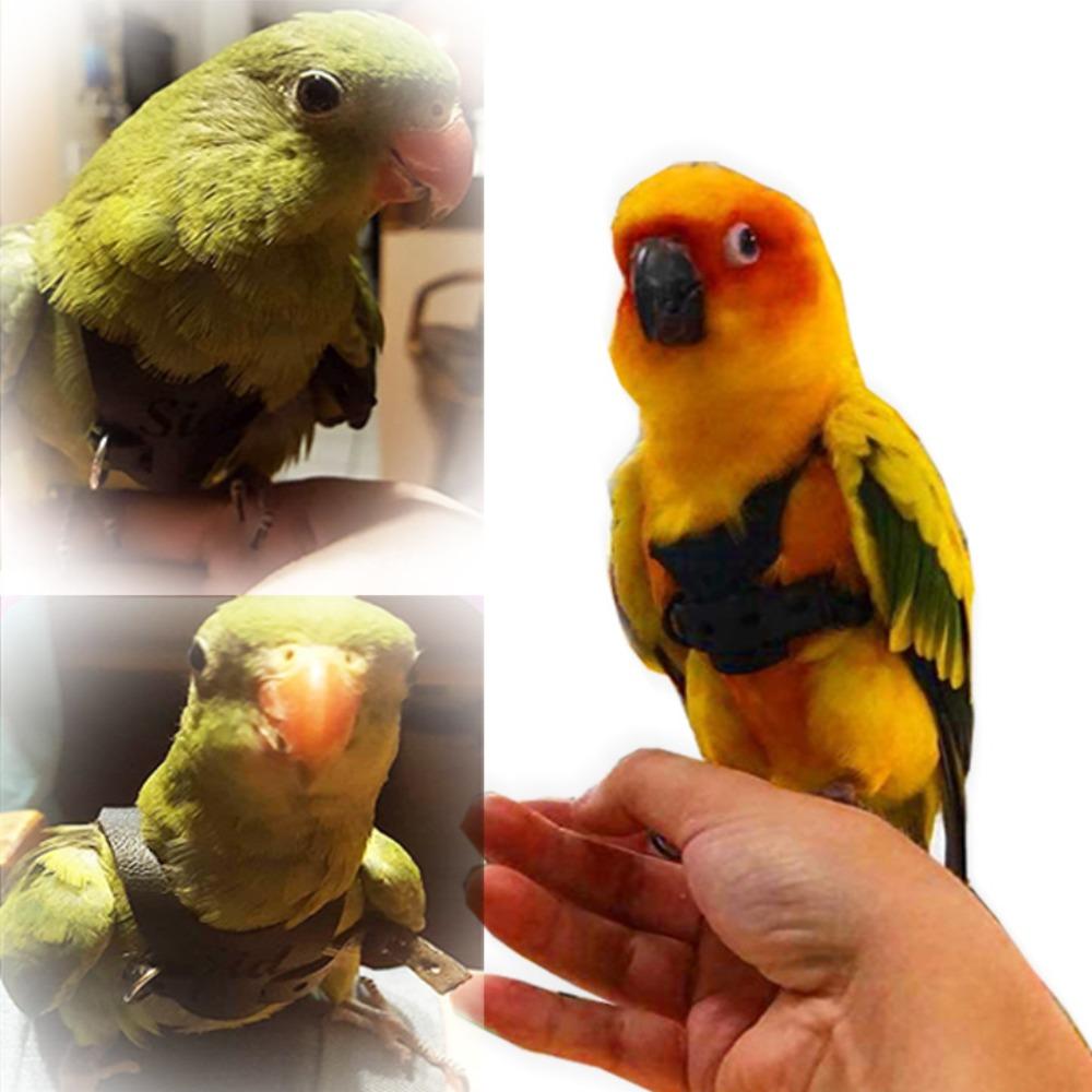 Suede Bird Vest Anti Bite Walking Bird Strap Rope Comfortable Parrots Flying Training Rope Parrot
Suede Bird Vest Anti Bite Walking Bird Strap Rope Comfortable Parrots Flying Training Rope Parrot