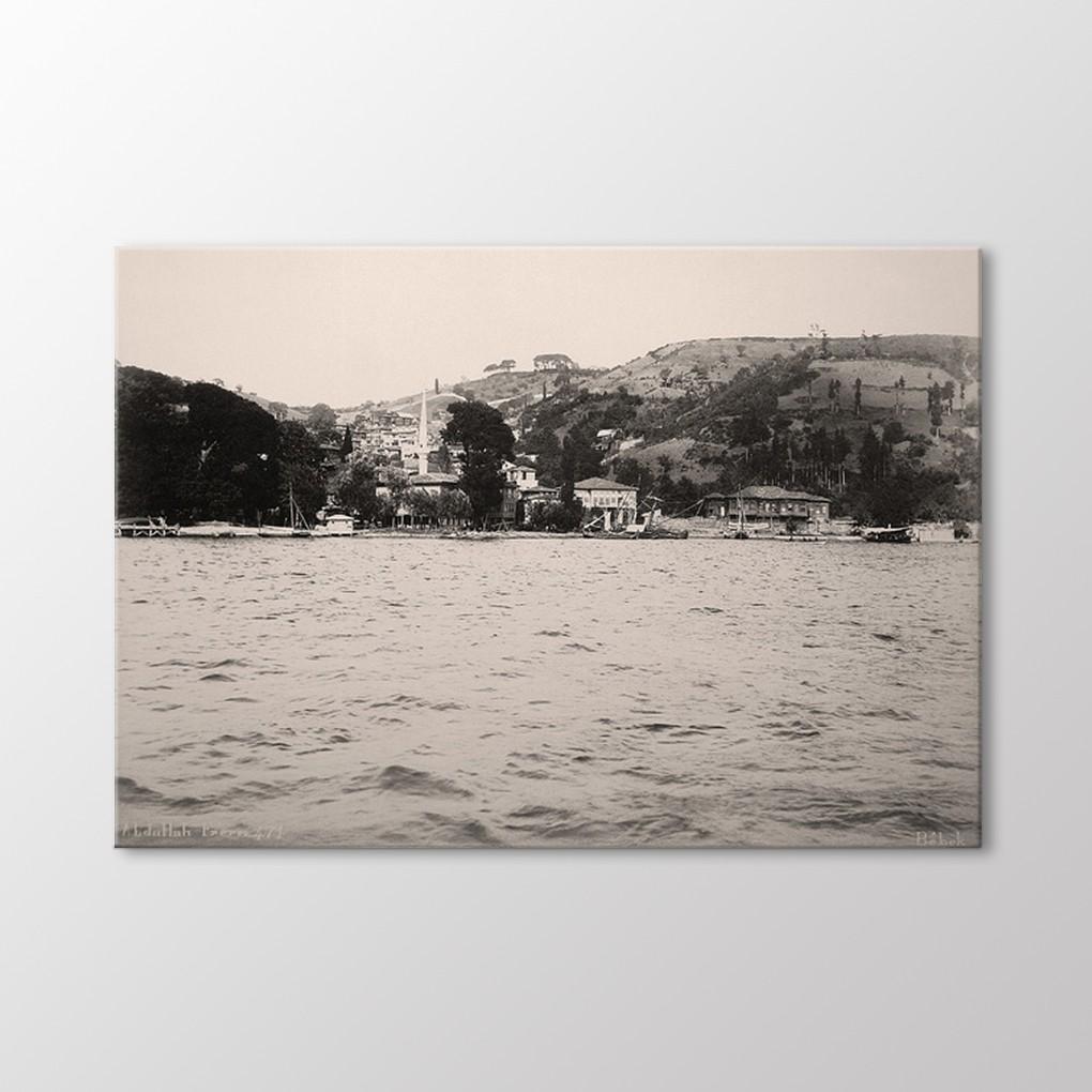 Картина с младенцем, 1890 г.
Картина с младенцем, 1890 г.