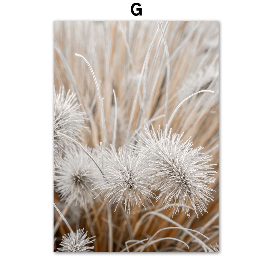 Бежевый лев, пшеница, тростник, трава, цветок, озеро, тень, дерево, настенные художественные принты, картина на холсте, скандинавский постер, декор, картинки для гостиной 30X40 cm No Framed
Бежевый лев, пшеница, тростник, трава, цветок, озеро, тень, дерево, настенные художественные принты, картина на холсте, скандинавский постер, декор, картинки для гостиной 30X40 cm No Framed