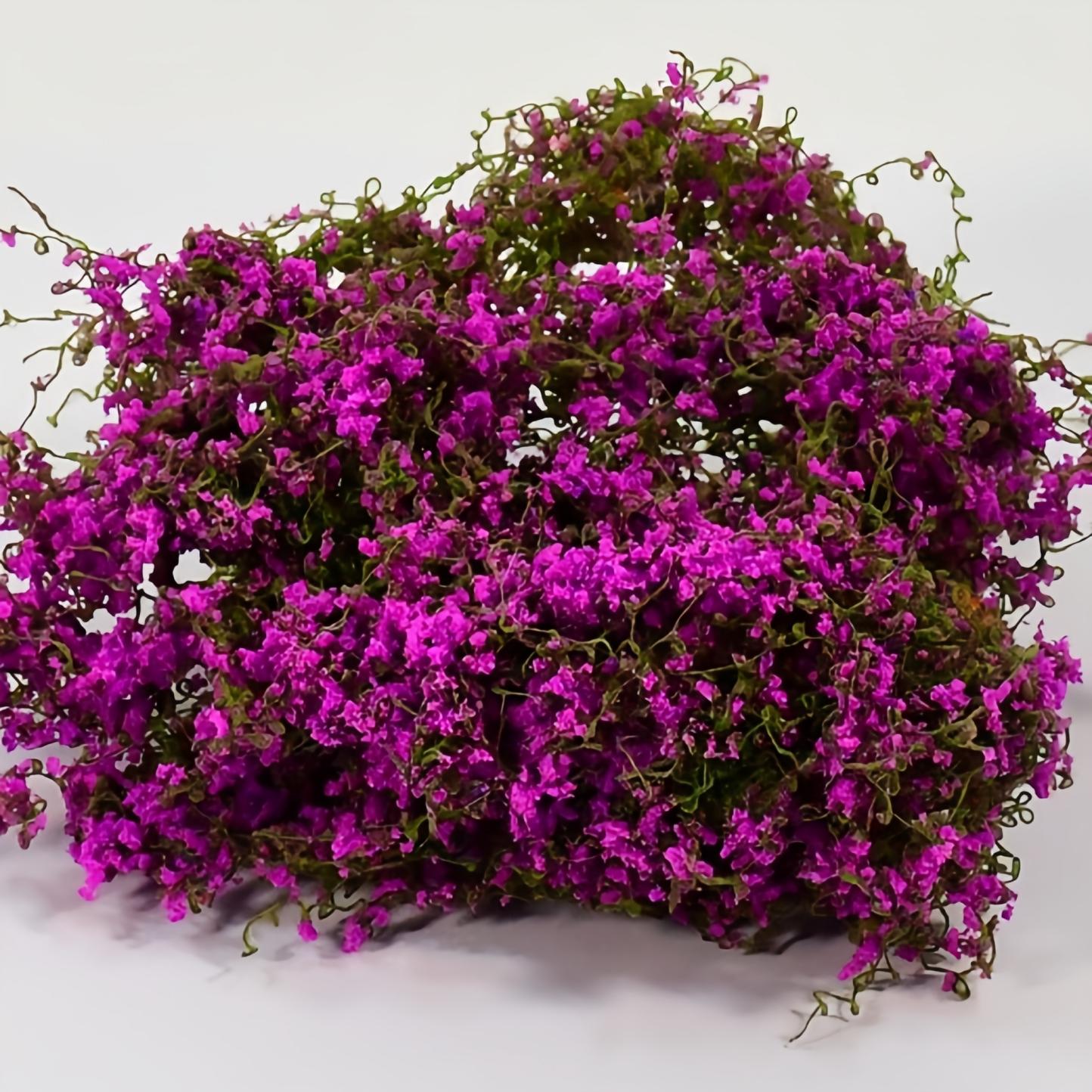 5G/Bag Miniature Cotton Thread Vine Leaves Simulation Plant Model Diy Micro Landscape Wall Scene Layout Diorama Accessories Kit
5G/Bag Miniature Cotton Thread Vine Leaves Simulation Plant Model Diy Micro Landscape Wall Scene Layout Diorama Accessories Kit