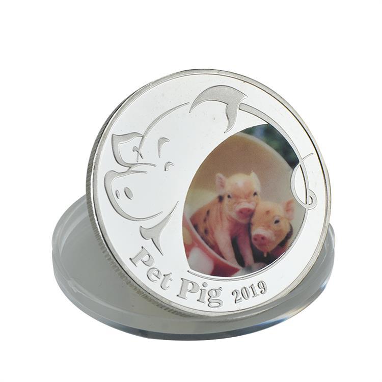 Silver plated zodiac pig year commemorative silver coins, commemorative medals, DIY round coins, pet pig coin 2019
Silver plated zodiac pig year commemorative silver coins, commemorative medals, DIY round coins, pet pig coin 2019