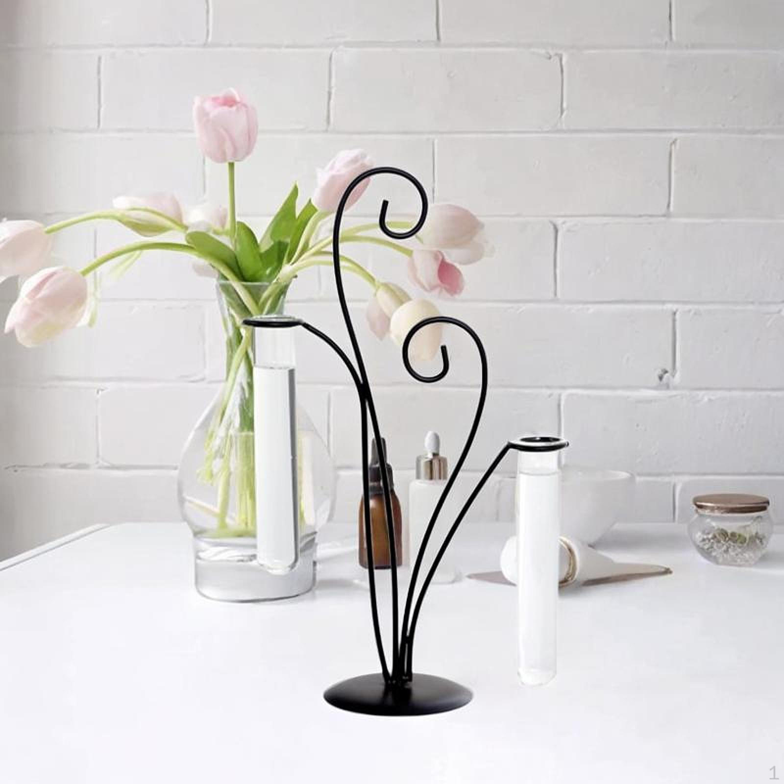 Desktop Glass Planter Desk Ornament Versatile Fine Craftsmanship Hydroponics Plants Holder Metal flower
Desktop Glass Planter Desk Ornament Versatile Fine Craftsmanship Hydroponics Plants Holder Metal flower