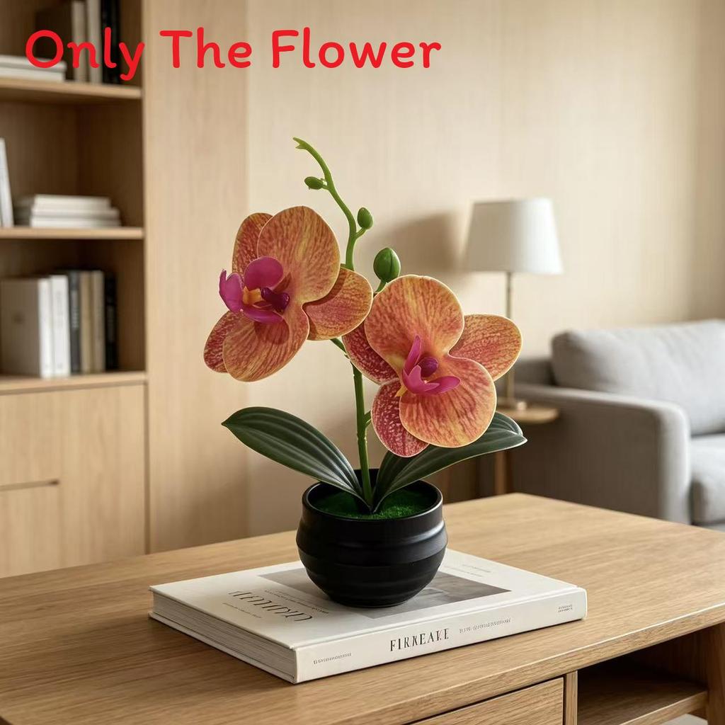 Butterfly Orchid Artificial Plant With Plastic Soft Gel For Home Decor And Photography Props Style9
Butterfly Orchid Artificial Plant With Plastic Soft Gel For Home Decor And Photography Props Style9