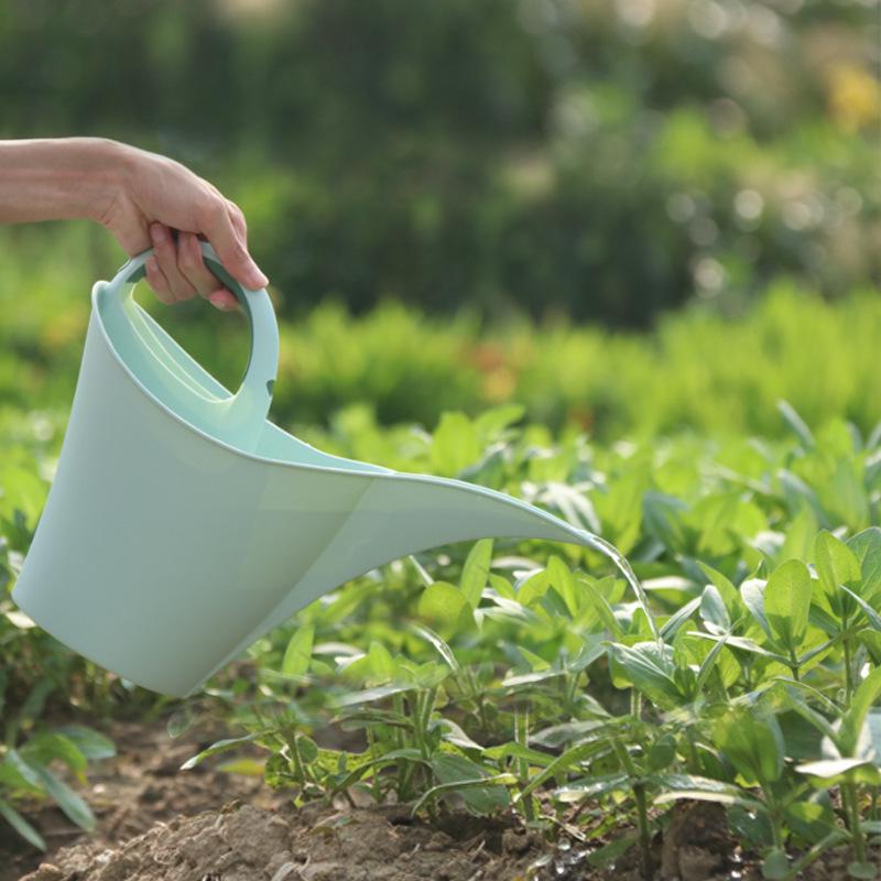European Style Green Plastic Watering Can with Long, Fine Spout for Potted Plants and Spray Bottle. Bird Watering Can Dark Blue
European Style Green Plastic Watering Can with Long, Fine Spout for Potted Plants and Spray Bottle. Bird Watering Can Dark Blue