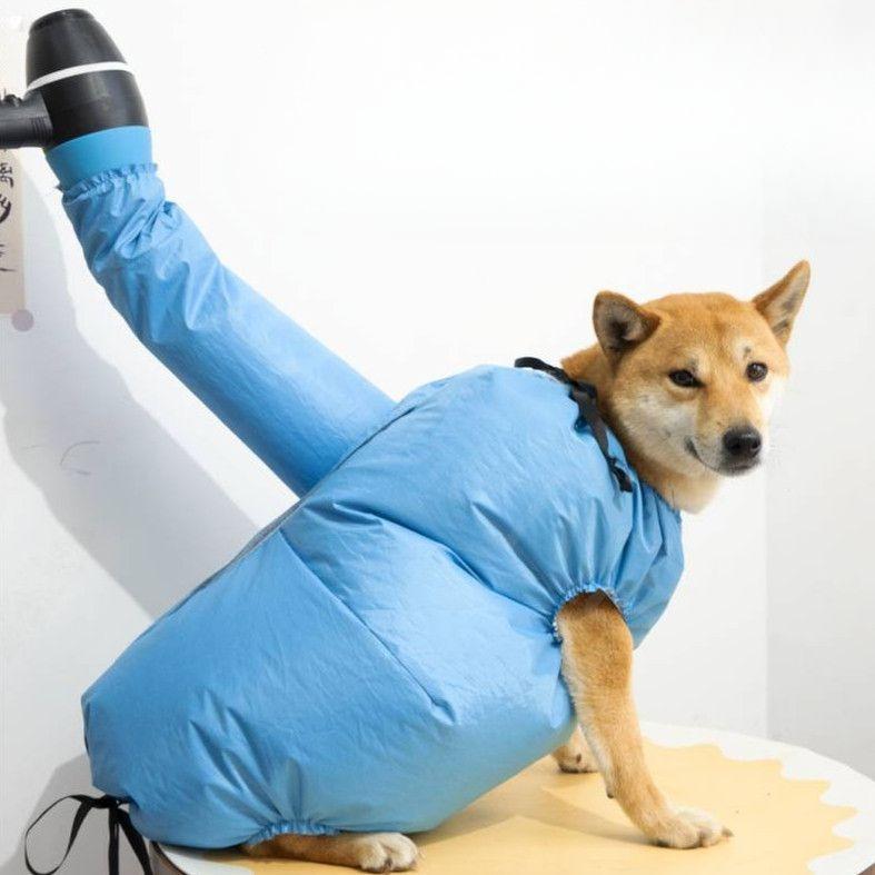 Folding Dog Hair Dryer Portable Pet Drying Bag Efficient Dogs Hair Dryers Blow Bag Cat Dryer Winter Pets Cleaning Accessories Fo S синий
Folding Dog Hair Dryer Portable Pet Drying Bag Efficient Dogs Hair Dryers Blow Bag Cat Dryer Winter Pets Cleaning Accessories Fo S синий