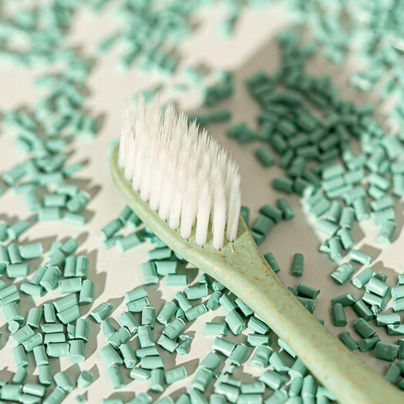 SODOWE Soduwi Wood Chip Double-Sided Fine Bristle Toothbrush Summer Field Green x 1 woodchip toothbrush green x 1ea
SODOWE Soduwi Wood Chip Double-Sided Fine Bristle Toothbrush Summer Field Green x 1 woodchip toothbrush green x 1ea