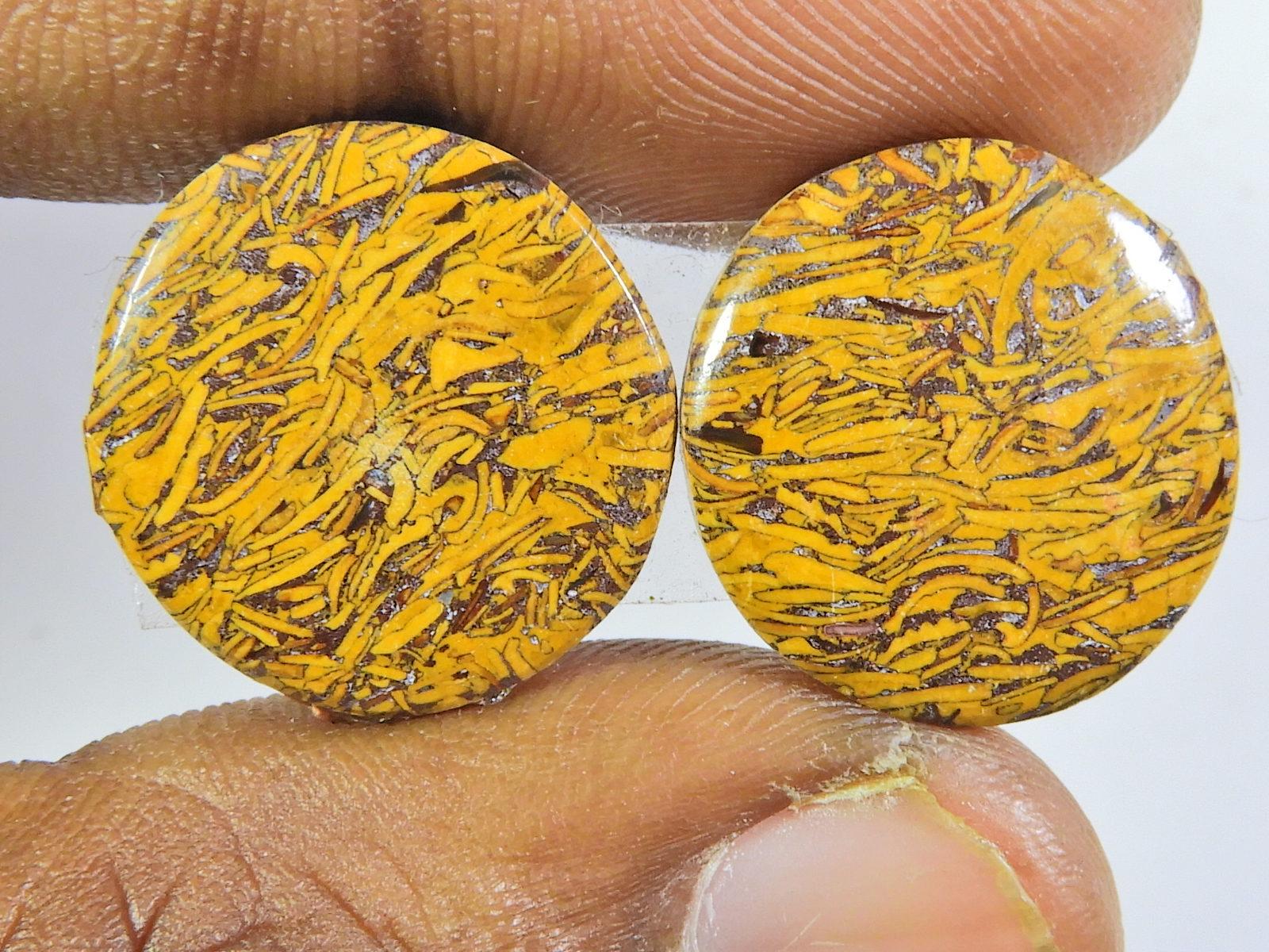 25Cts.Natural Mariam jasper Matched pair Round Cabochon Gemstone 18X18X03MM SK-136
25Cts.Natural Mariam jasper Matched pair Round Cabochon Gemstone 18X18X03MM SK-136