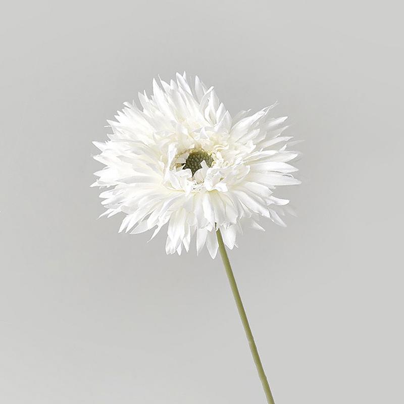 Декоративні Гербери Штучні Квіти Невицвітаючі Реалістична Квіткова Композиція Імітація Гербери Домашній Декор білий
Декоративні Гербери Штучні Квіти Невицвітаючі Реалістична Квіткова Композиція Імітація Гербери Домашній Декор білий