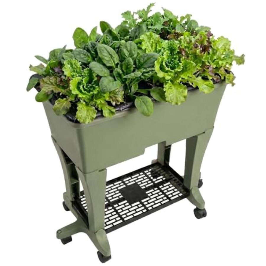 Raised Garden Bed with Legs Elevated Self Watering Planter Box with Wheels Storage Shelf Premium Plant Food Easy Assembly Made United States
Raised Garden Bed with Legs Elevated Self Watering Planter Box with Wheels Storage Shelf Premium Plant Food Easy Assembly Made United States