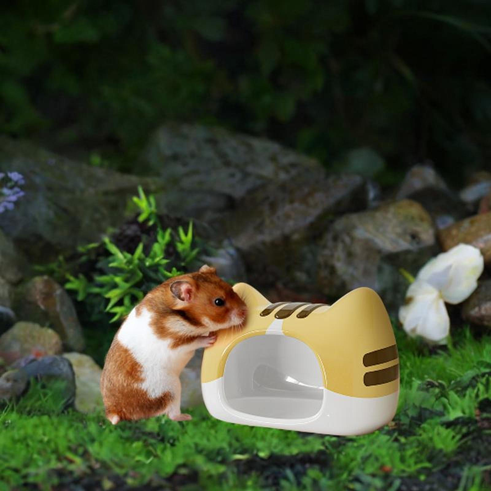 Гномья пещера Керамическая хомячья хижина Убежище Креативное украшение Керамическое гнездо Убежище 14cmx9.4cmx9.5cm
Гномья пещера Керамическая хомячья хижина Убежище Креативное украшение Керамическое гнездо Убежище 14cmx9.4cmx9.5cm