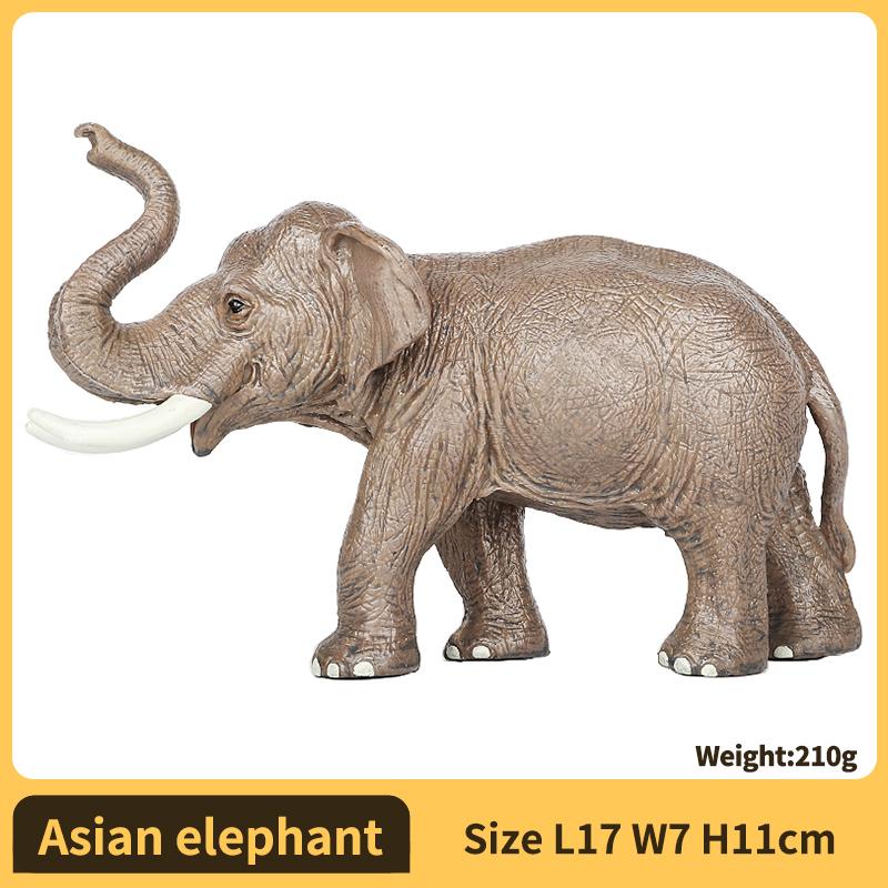 Realistic Wild Elephant Action Figure Toy - Animales Collection, Safari Wildlife Model for Kids & Collectors
Realistic Wild Elephant Action Figure Toy - Animales Collection, Safari Wildlife Model for Kids & Collectors