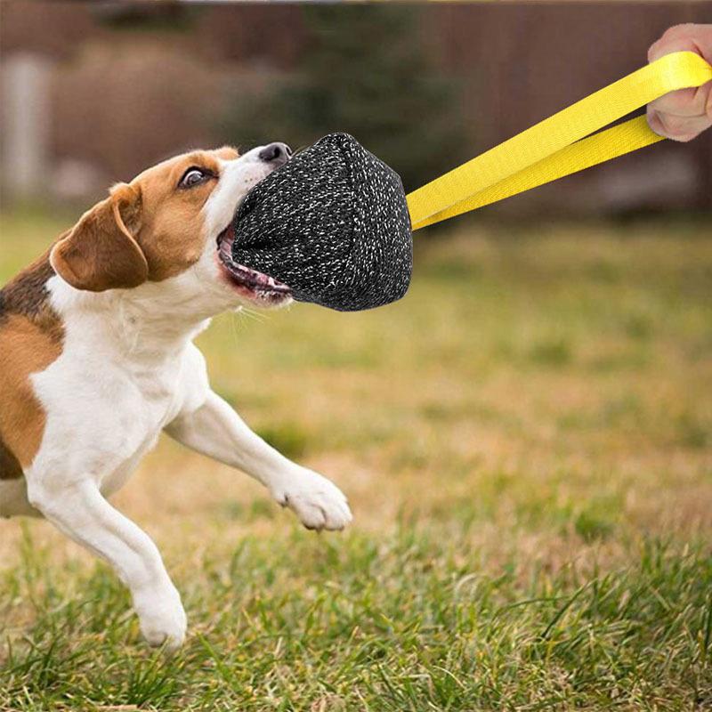1 Stück Hundebeißkissen Zerrspielzeug für erwachsene Hunde Welpen Haustiertraining Spielen Werfen