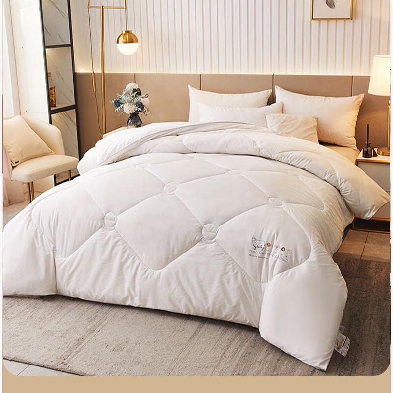 Warm Winter Comforter