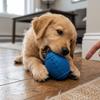Cães – Brinquedos para cães