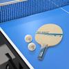 VICTAS Table Tennis Racket Koki Niwa Shakehand Offensive Special Material Model Used by Koki Niwa Straight 027805