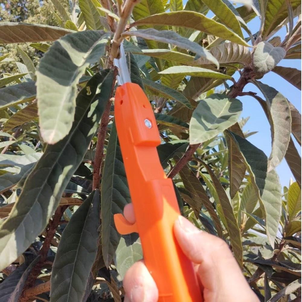 Handheld Berry Picking Tool Ergonomic Heavy-Duty Pruning Cutter Thorn-Proof Non-Slip Handle Flower Branch Scissors Pruning