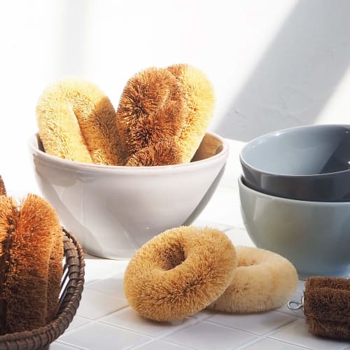 Kamenoko Nishio Shoten White Palm Brush (Small)