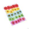 25 Dried Flowers Leaves for Nails Handmade Resin Jewelry Making Materials