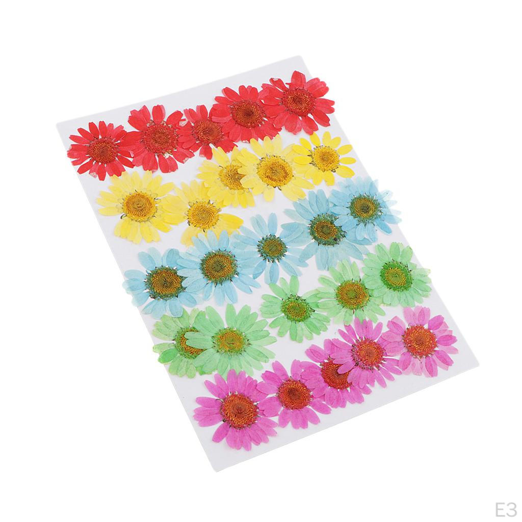 25 Dried Flowers Leaves for Nails Handmade Resin Jewelry Making Materials