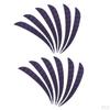 12 Pcs Shield Cut Turkey Feather Fletch Fletching Shape