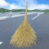 Instrumente pentru dereticare – Perii pentru curățenie
