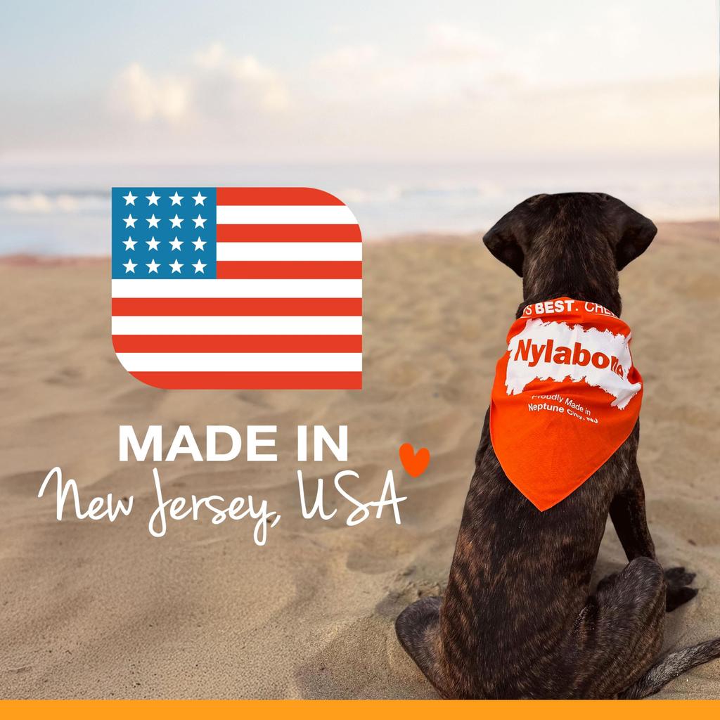 Nylabone Durachew Bacon Flavor Super Size