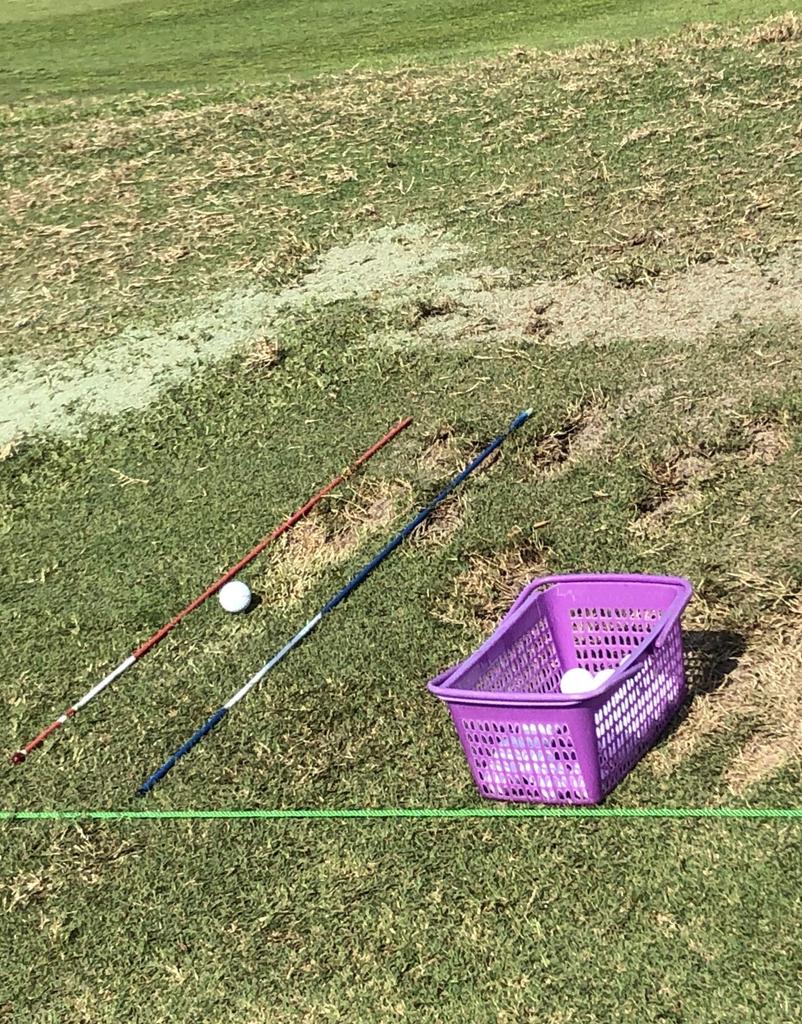 Tour AD Swing Practice Alignment Stick by Graphite Design (Pink)