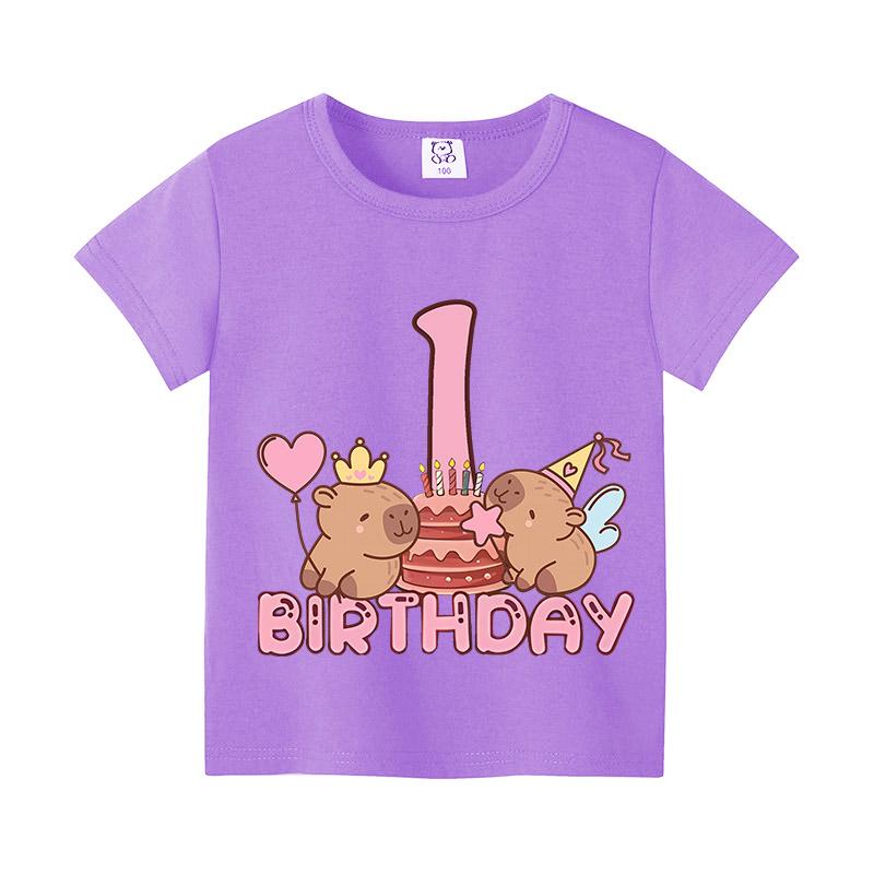 Capybara Birthday Print T-Shirtt Girls Number Short Sleeves Shirts Cartoon Anime Figures Tops Clothes Kids Summer Cotton Tees