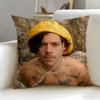 Federa Cuscino Artista Musicale Harry Styles Morbida e Facile da Lavare – Versatile Per Divano, Letto, Viaggio E Ufficio