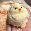 Handmade Chick Stress Relief Toy Pocket Size Ultra Soft Chick Squeeze Fidget Toy Anxiety Release Chick Pinch Sensory Toy Easter Stuffers