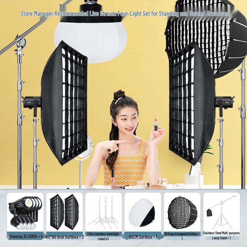 Godox SL200III Professional Studio Spherical Softbox Light Kit