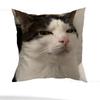 Funny Cat Meme Pillow Case Pillow Case Living Room Sofa Cushion Cover Suitable For Home Bedroom Room Decoration
