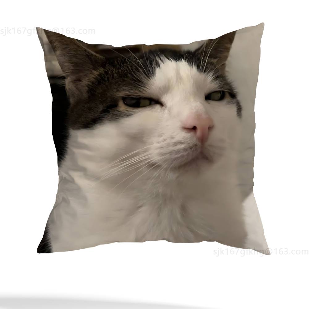Funny Cat Meme Pillow Case Pillow Case Living Room Sofa Cushion Cover Suitable For Home Bedroom Room Decoration