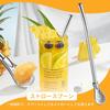 304 Stainless Steel Straw Spoon, a two-in-one fruit tea filter and stirrer with a removable straw and spoon, reusable (style 1)