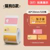 NIIMBOT B1/B2/B2Pro/B21/B21Pro/B31/B4/B203/B3S Cartoon Label Name Stickers Cute Colorful Thermal Classified Sticky Note Storage Printing Paper