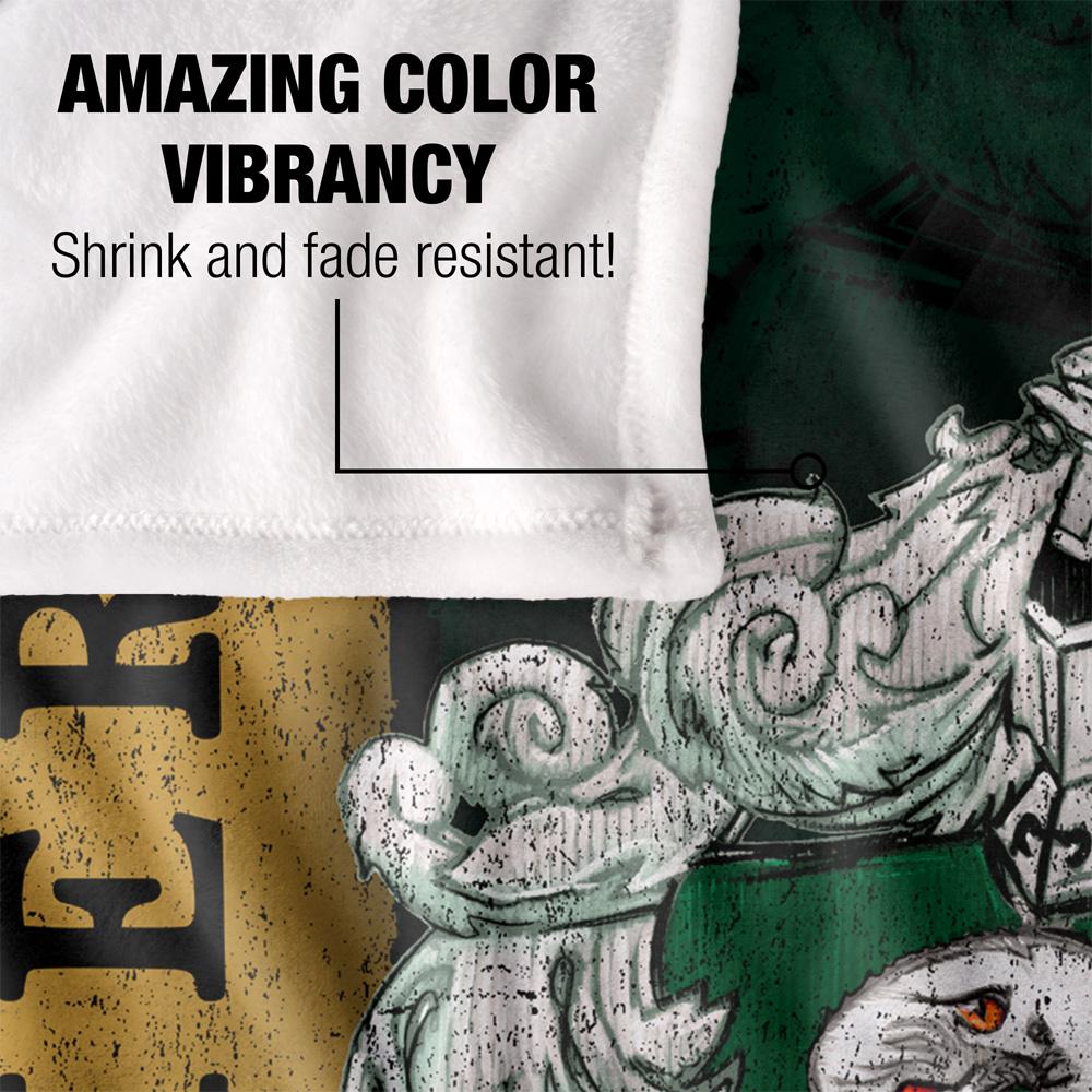 HARRY POTTER Slytherin Crest Blanket