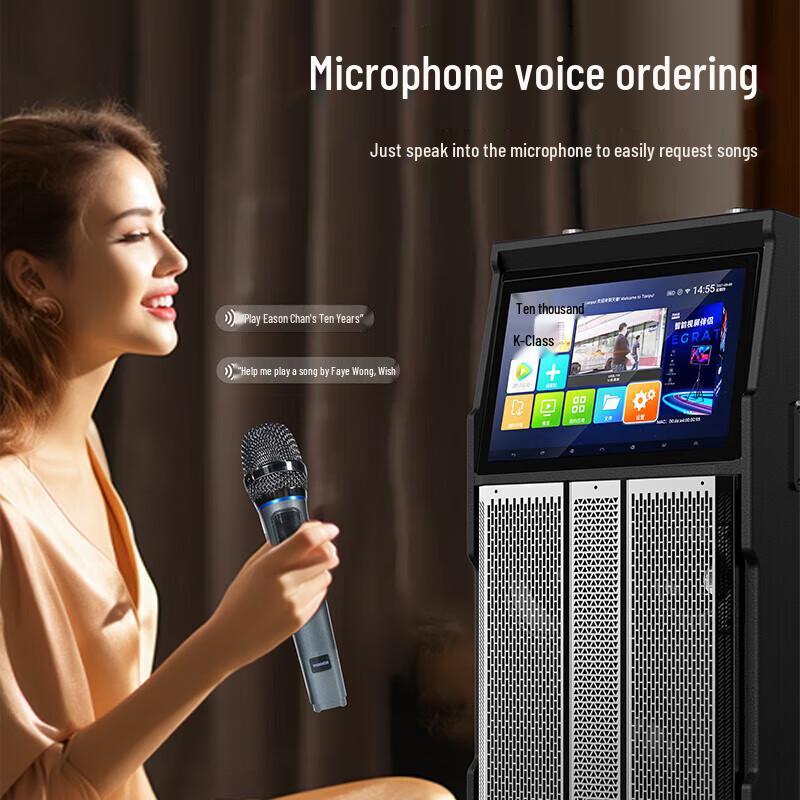 Wanlida M+9523 17-inch Portable KTV Karaoke Machine