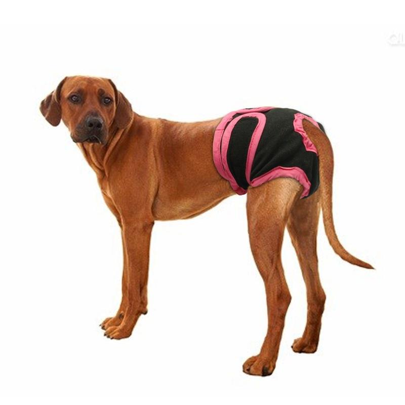 Hundeshorts für Hündinnen Welpen Physiologische Hosen Windel Haustierunterwäsche für Kleine Mittlere Mädchenhunde