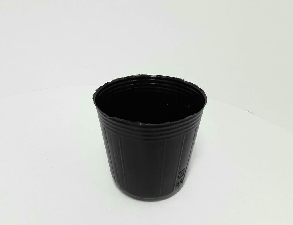 Meiwa Polypot Kuromaru 6cm 100 Pieces [item]