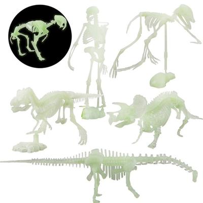 Hračka se simulovanými kostmi dinosaurů Světelný model lidské kostry Halloweenská hračka