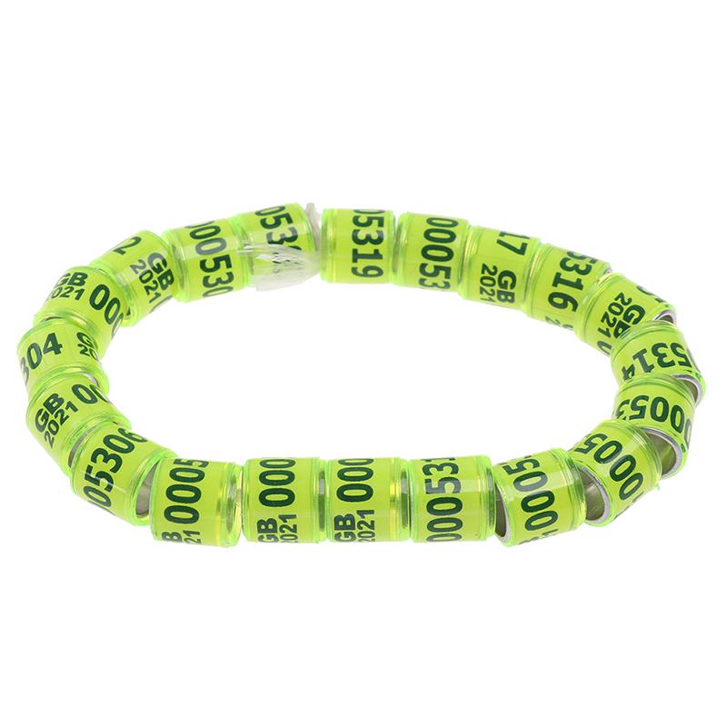 20 Pcs Pigeon Foot Ring With Word Earrings 2021 Multicolor Bird Tools