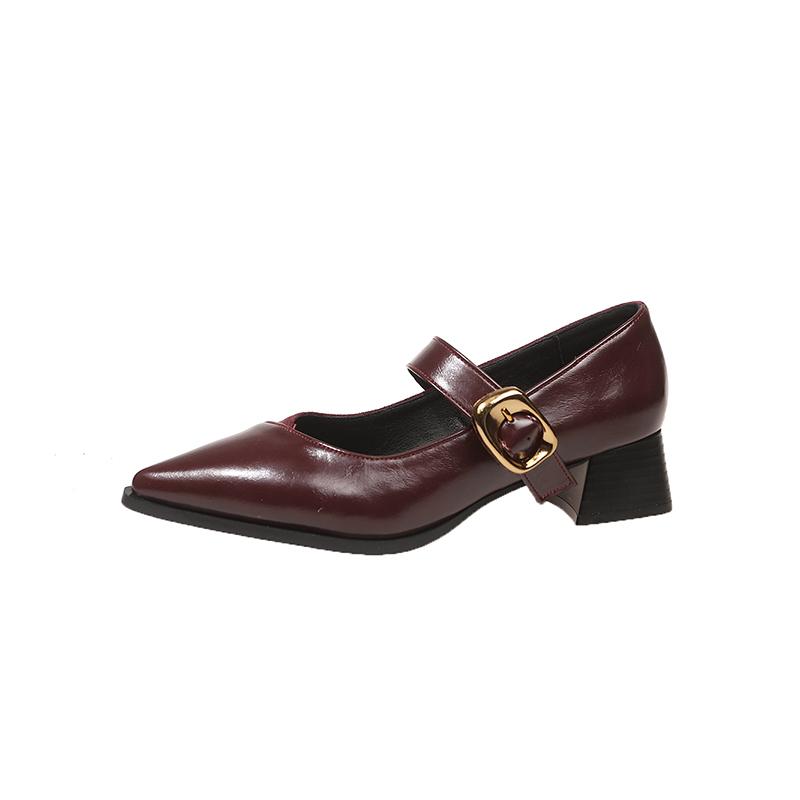 Pointed Toe Mary Jane Shoes Women's Spring New Vintage Versatile Block Heel One Strap Shoes