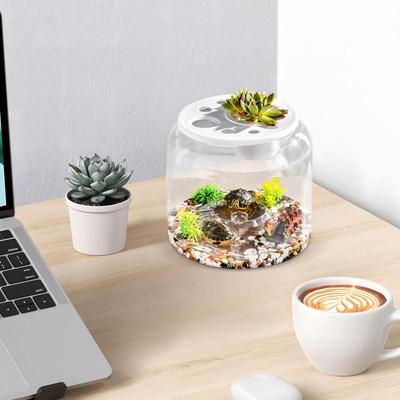 Tank For Turtles Transparent Turtle Aquarium Turtle Tank With Lid Turtle Terrarium Tortoise Enclosure With Removable Cover For