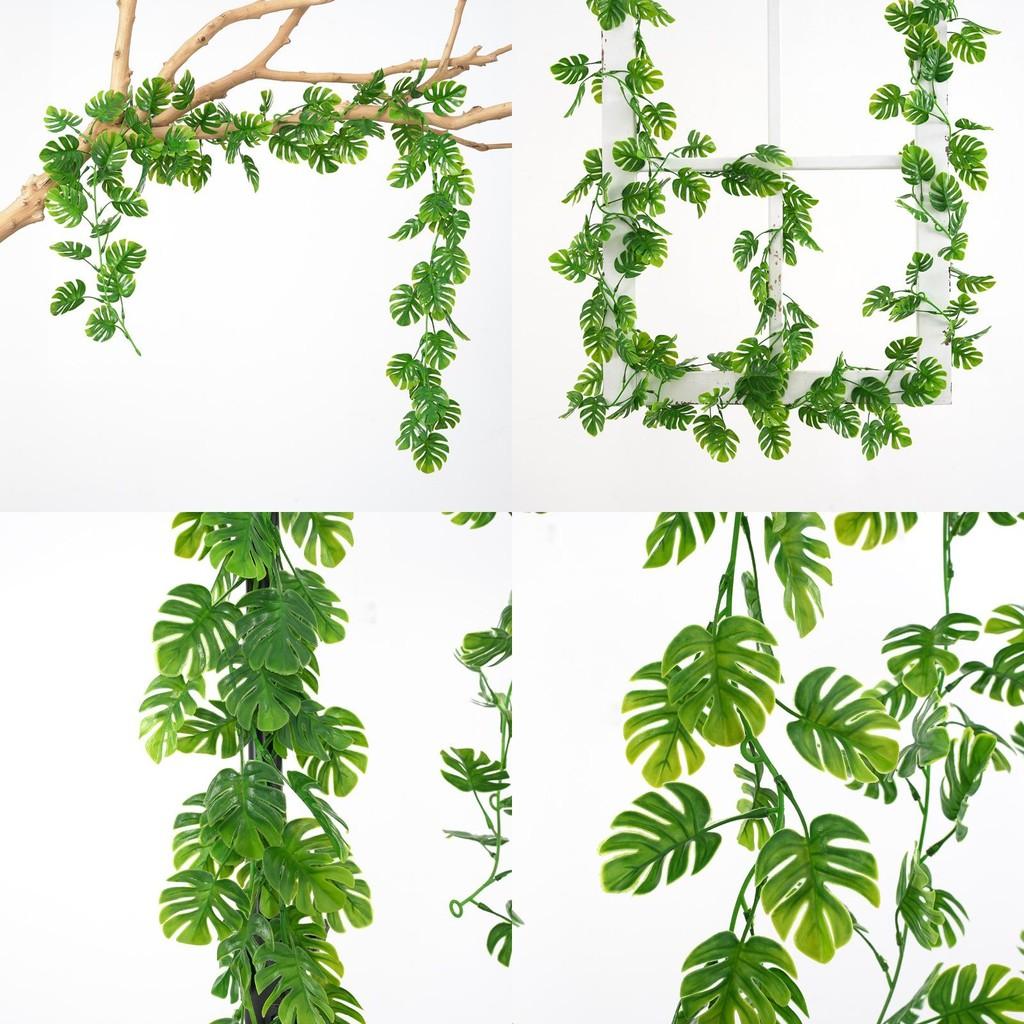 Plant Artificial Monstera Deliciosa Liebm Vines Wall For Indoor Decoration