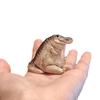 1pc Little Crocodile Tea Set Decoration Cute Home, Exquisite and Creative Desktop Crafts Ornament