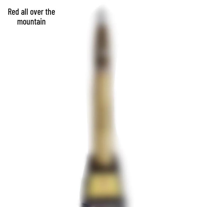 Manshanhong 105 Coach D Training Model